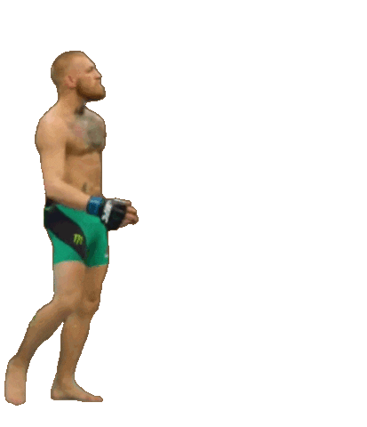 The Notorious Fight Sticker by Conor McGregor