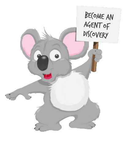 Koala Sticker by Sunshine Coast Council