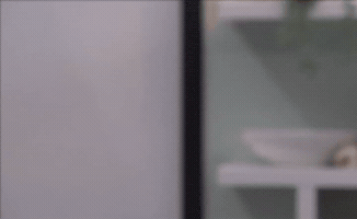 Serving Big Brother GIF