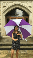Rain Umbrella GIF by Kenyon College