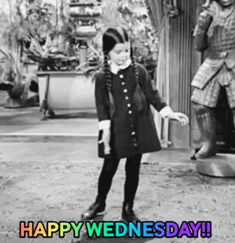 Happy-wednesday GIFs - Get the best GIF on GIPHY
