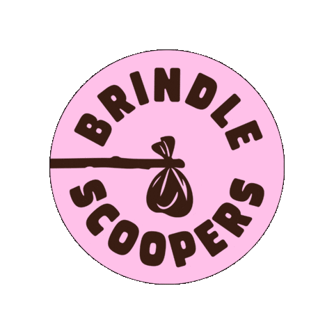 Brindle Scoopers Sticker