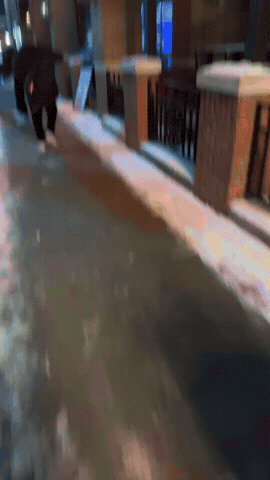 926Greenwood GIF by 926