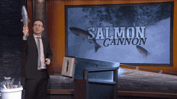 john oliver salmon cannon GIF by Giffffr