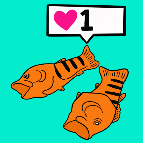 Gold Fish Love GIF by Coddies