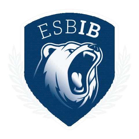 Who Are We International Business Sticker by IB Vision ESB