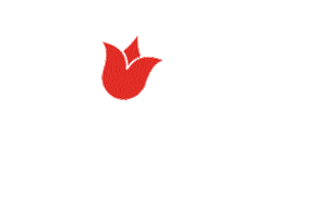 Flowers Tulips Sticker by Floral Design Institute