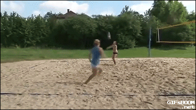 giphy.gif