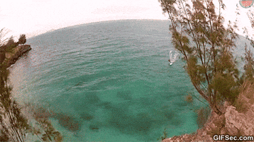 dive windsurfing GIF