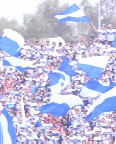 Uc Los Cruzados GIF