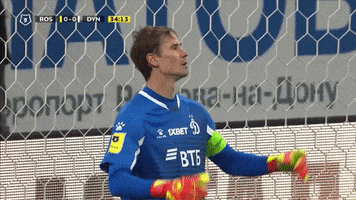 Football Hands GIF by FC Dynamo Moscow
