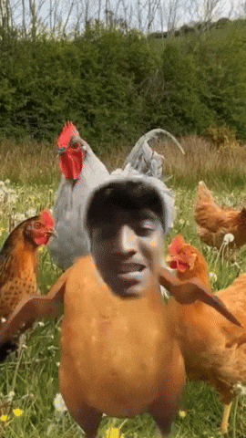 Filter GIF