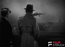 watching classic film GIF by FilmStruck