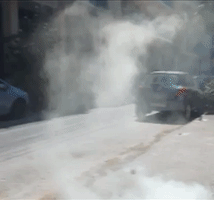 Short Film Patision Avenue GIF