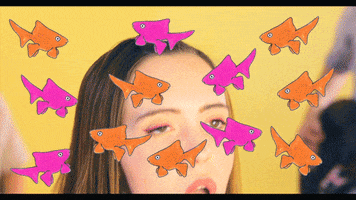 200.gif?cid=fc005b0820aa0f8cee2d6af3b38b9246f6037eecf29ca64c&rid=200.gif&ct=g