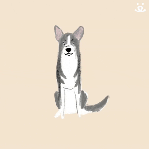 Animated dog GIFs - Find & Share on GIPHY