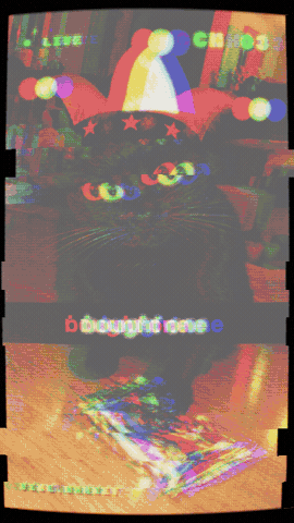 One More Cat GIF by Vibe.market