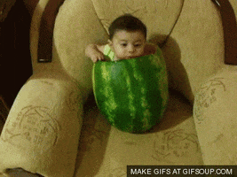National Watermelon Day GIF