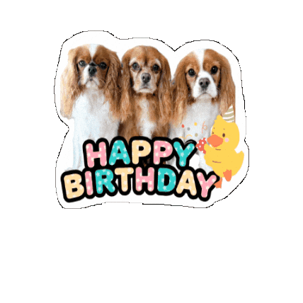 Birthday Cavalierkingcharlesspaniel Sticker