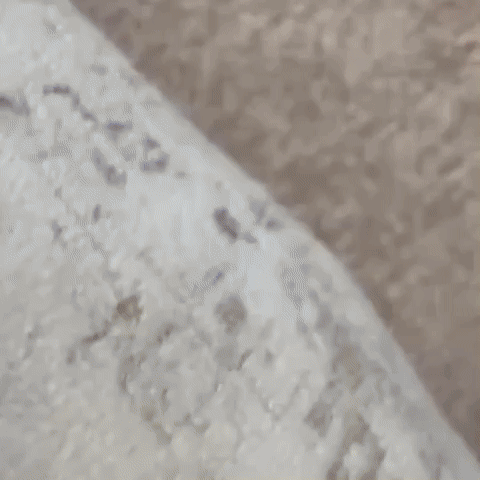 Hammad GIF