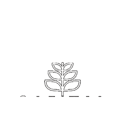 Capital Research Brazil Sticker