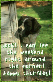 Happy The Weekend GIF