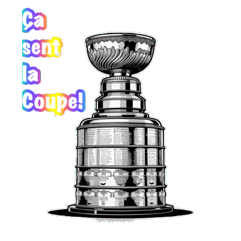 Sport Hockey Sticker by TresorsDuMonde.ca