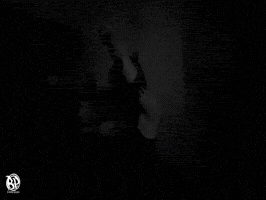Molly Santana GIF