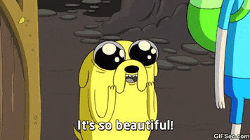 Cartoon gif. Jake the Dog from Adventure Time has stars in his eyes. He says, “It’s so beautiful!”