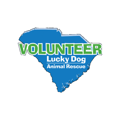 Scldar Sticker by Lucky Dog Animal Rescue