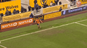 loop wolves fc GIF