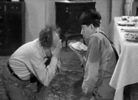 three stooges pie GIF