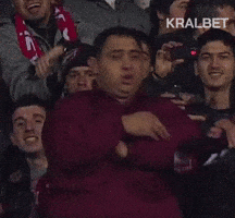 Fenerbahçe Taraftar GIF by KralBet