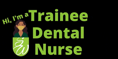 SmileWisdom dental nurse smilewisdom trainee dental nurse happy dental nurse GIF