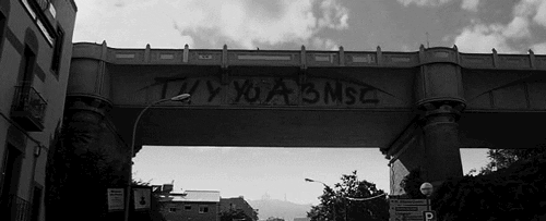 3Msc GIFs - Find & Share on GIPHY