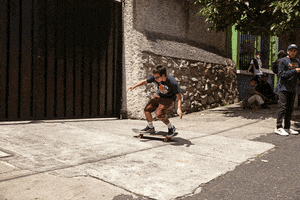 Fish Skateshop GIF