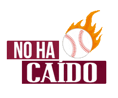 Gigantes del Cibao Sticker