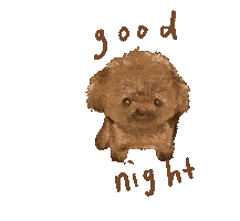 Night Poodles Sticker