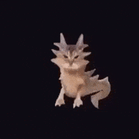 Chinese Cat GIF