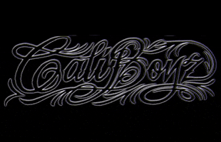 The Caliboyz GIF