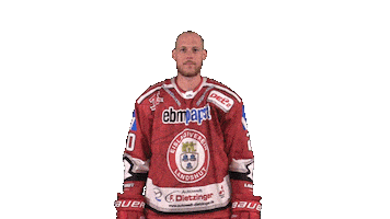 Ev Landshut Sticker by EVL Spielbetrieb GmbH