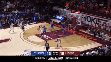 Virginia Tech GIF