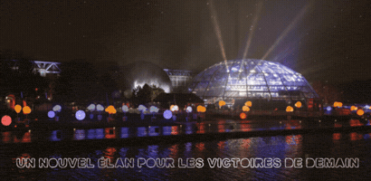 Afm GIF