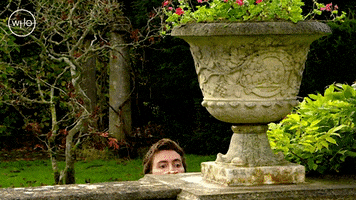 Spying David Tennant GIF by Doctor Who