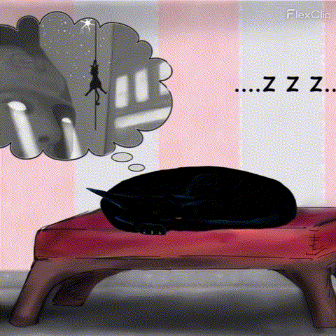 Black Cat Dreaming GIF