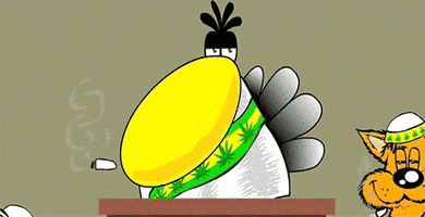 200.gif?cid=fc005b08ed98ef408b446900f8a2c11019e783dcc26adf90&rid=200.gif&ct=g