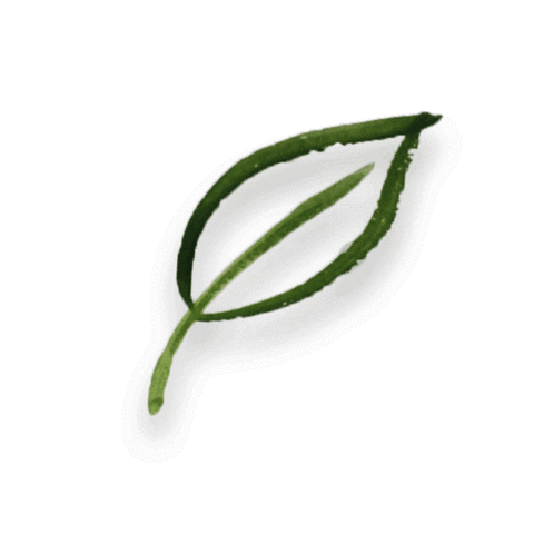 findmebeingme tea tag books leaf GIF