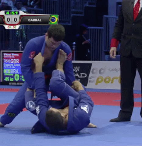Bjj GIF