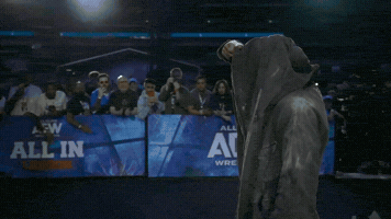 All In Wrestling GIF