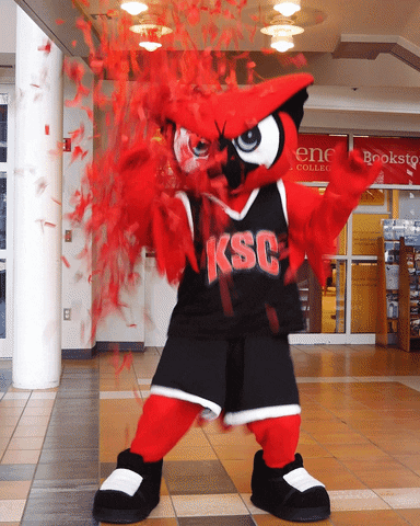 Keenestate Owlnation GIF by Keene State College